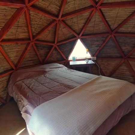 Casa Arbol Domos Hostel Cafayate Ngoại thất bức ảnh